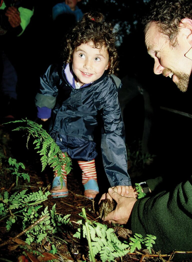 rakiura+titi+islands+administering+body+te+karaka+protecting+our+titi