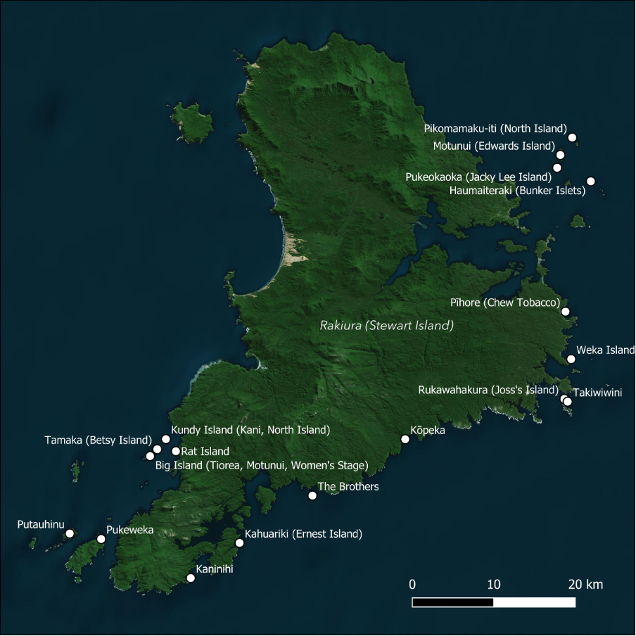 rakiura+titi+islands+administering+body+map