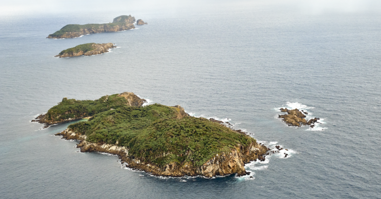 RakiuraTitiIslandsManagementPlan01-cropped