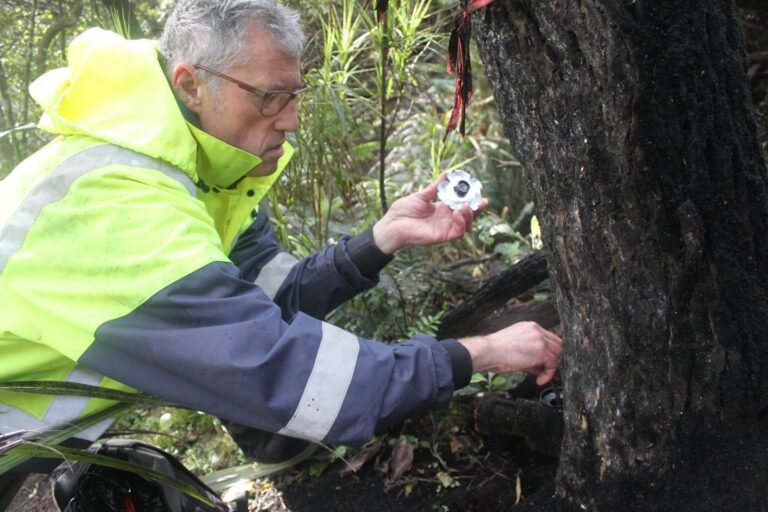 rakiura+titi+islands+biosecurity+awards