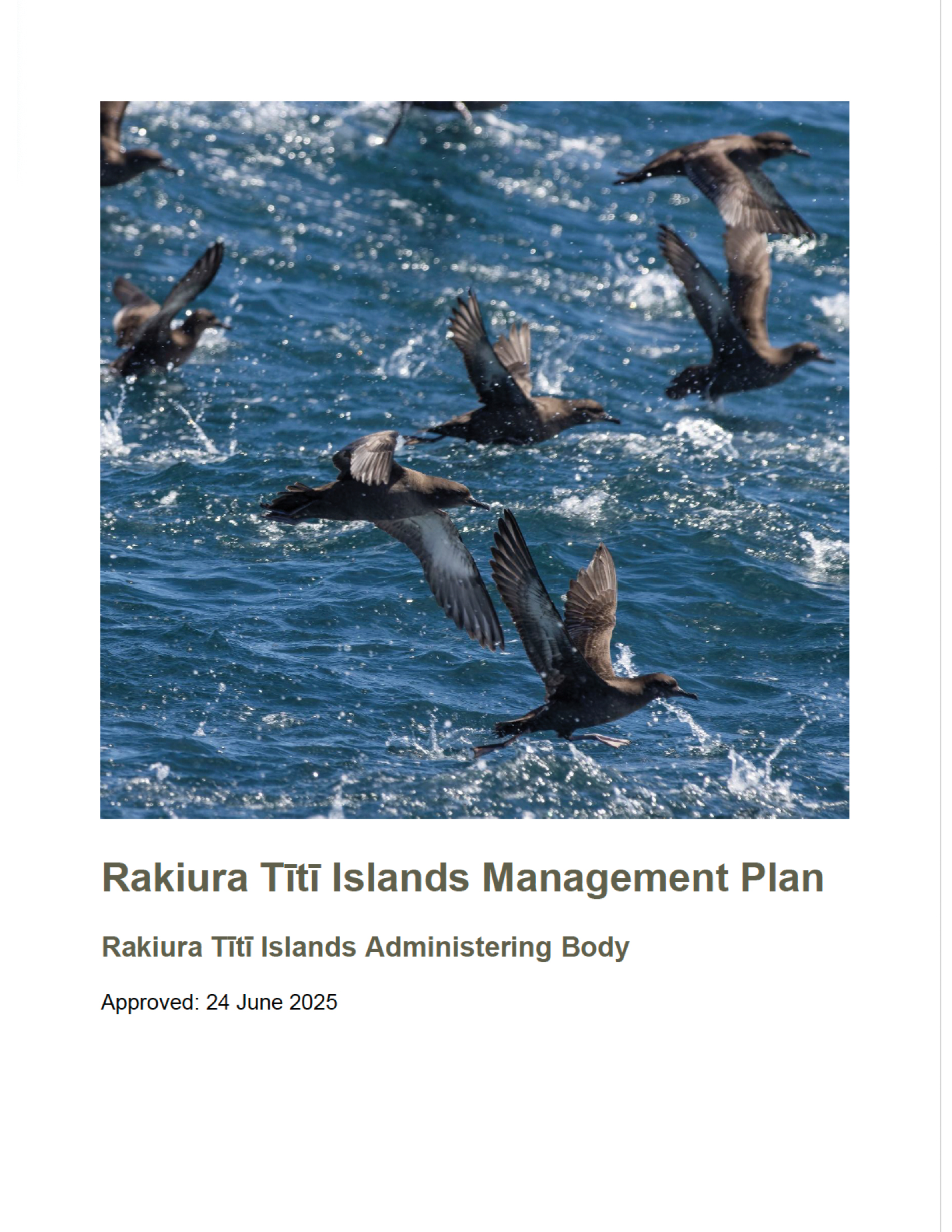 Cover of Management Plan