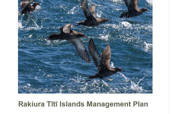 Cover of Management Plan